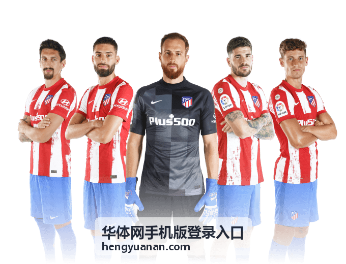 华体网手机版登录入口在手机屏幕上的页面示意